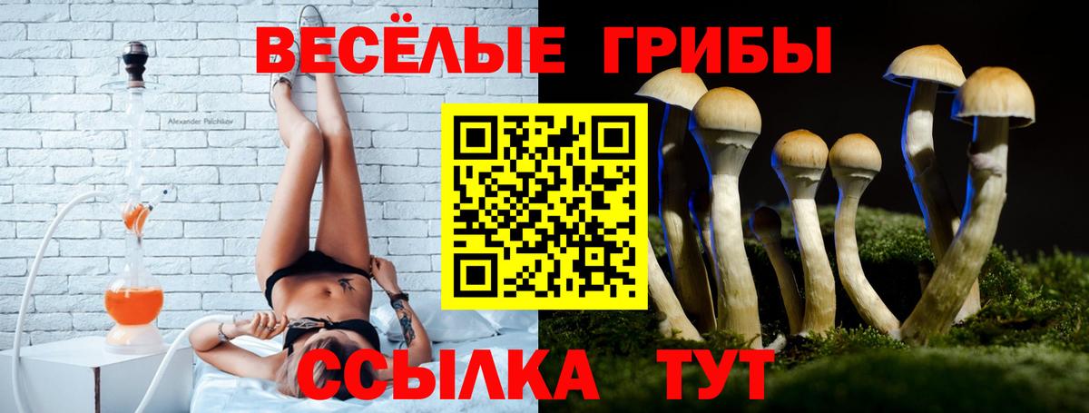 Галлюциногенные грибы мухоморы  Псилоцибиновые грибы MAGIC MUSHROOMS  Вход с VPN  Ростов-на-Дону 